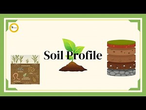 Soil Profile
