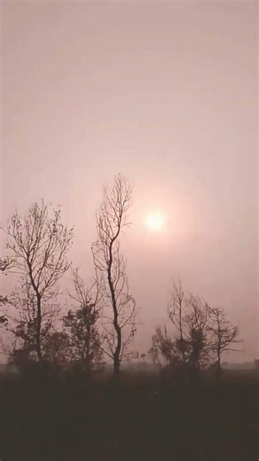 #lambi lambi chodi #tranding