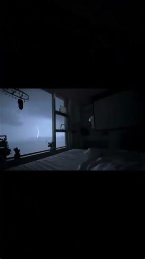 Cat calmly watches lightning through window in Jiangxi, China