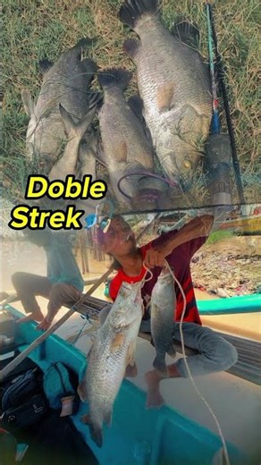 Strike Sekali Lempar! 😱🎣 #fishing #mancingmujaer