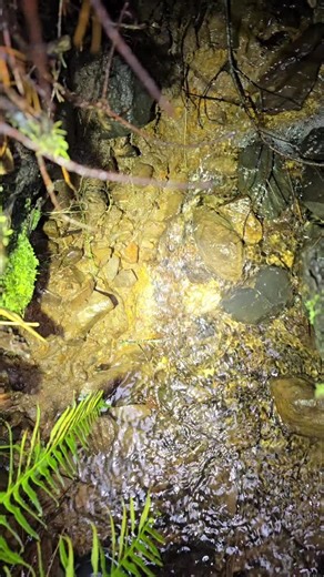 Discovering Beautiful Agates on Scenic Hikes