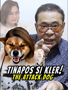 ULOL NA ASO! Chavit Singson TINAPOS ang pagka Attack Dog ni Claire Castro ! Inilabas ang Ebidensya Plunder Case ni BongBong Marcos Kasama ni Napoles sa Pork Barrel Scam ! | Philippine Newsfeed