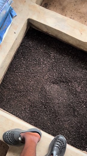 How to Raise Black Soldier Fly Maggots for Livestock