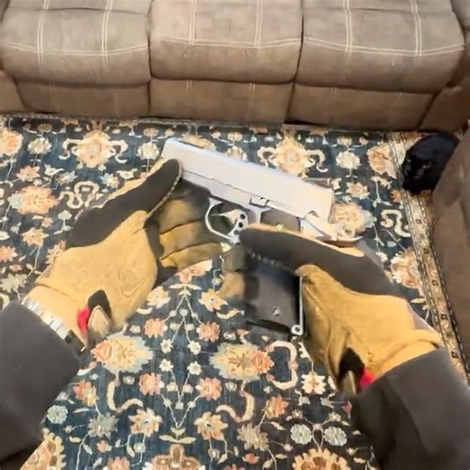 Springfield Armory V10 replica inspection