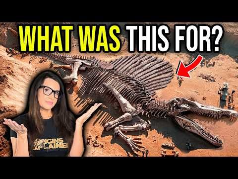 Have Scientists Finally Figured Out the Spinosaurus?