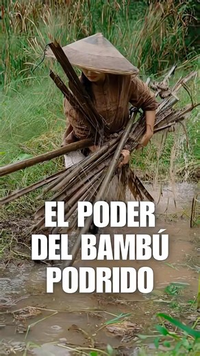 This ROTTEN BAMBOO becomes a TREASURE