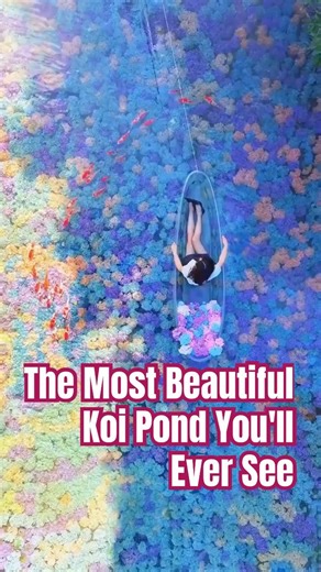 The Most Beautiful Koi Pond You'll Ever See #koipond #aesthetic #shorts