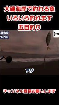大磯で釣れる魚 いろいろ釣れます 五目釣り 五目達成