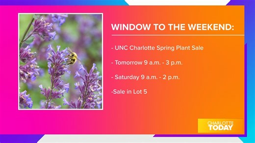 Window to the Weekend: basketball, plant sale, and new Creole restaurant