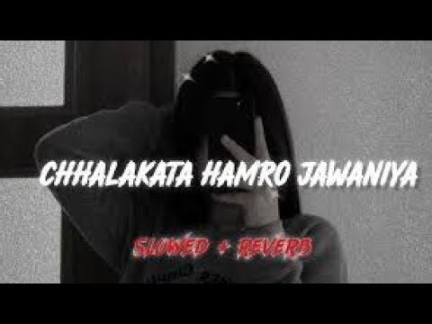 Bom diggy diggy bom bom x chalkata hamro jawaniya e raja || pawan singh || hindi Bhojpuri mix song