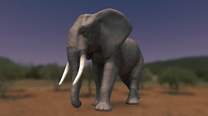Elephant - Buy Royalty Free 3D model by FletchTech