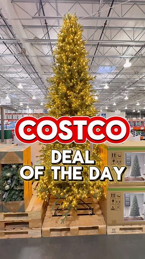 Costco Buzz | Deals & Finds by Reza on Instagram: "Costco Deal of the Day! 🎄 This HUGE 12’ PRE-LIT RADIANT MICRO LED CHRISTMAS TREE is now $999 at Costco 👀 It’s Costco’s biggest Christmas tree — pre-lit, packed with micro LEDs, and ready to turn your living room into a holiday movie set 😍 Would you put a 12-foot tree in your home or is this way too big? 😂 Follow for daily Costco Finds & Deals 🛒 Share with a friend who LOVES Christmas decor! ✨#costcofinds #costcodeals #christmastree🎄 #costc