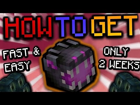 The EASIEST WAY to get the ENDER DRAGON PET- (Hypixel Skyblock)
