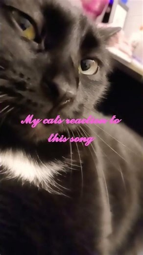 𝒔𝒉𝒆 𝒈𝒂𝒗𝒆 𝒎𝒆 𝒕𝒉𝒆 𝒔𝒊𝒅𝒆 𝒆𝒚𝒆