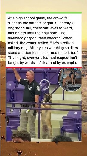 MILITARY DOG STANDS UP FOR NATIONAL ANTHEM🫡