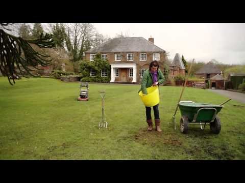 Spring lawn care - how to repair your turf