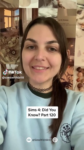 Ordering Groceries In The Sims 4 - Tips & Tricks for Getting Food Easily