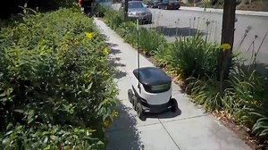 Robot makes grocery delivery in Palo Alto, California