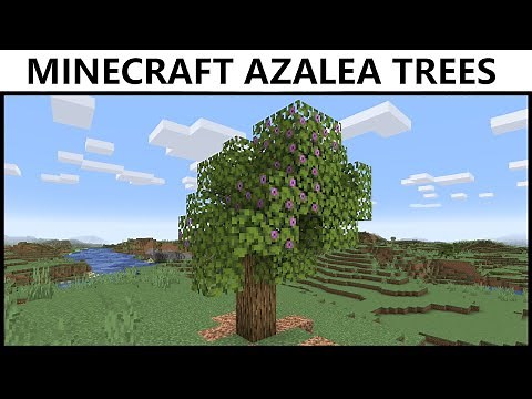 Where To Find AZALEA TREES In MINECRAFT