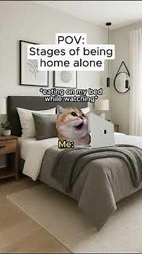 Stages of being home alone😂 #catmemes #relatable #funny