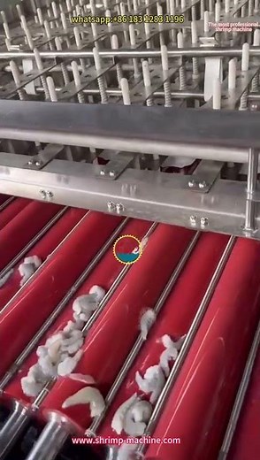 prawn peeler, prawn peeling machine, prawn shelling machine, automatic prawn peeler, prawn machine