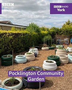 Sometimes all you need is a quiet place to relax 🪴. That's exactly what the Pocklington Community Garden is 😊. | BBC York