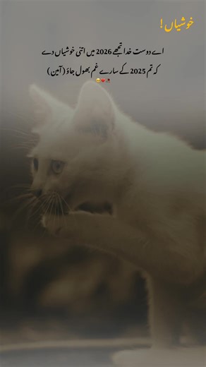 it's true 🥺🥀💯 #fyp #fypviralシ #foryoupage #urdupoetry #onemilionaudition