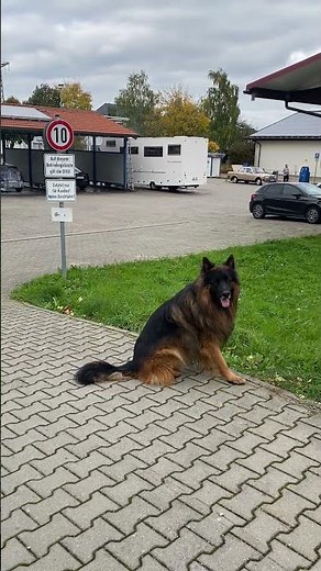 Chefkontrolle in der Waschanlage
