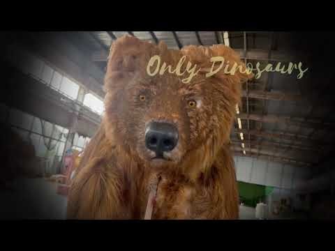 Realistic Brown Bear Costume Making Process | How to