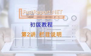 FastReport.NET初级教程【第2讲 栏目说明】