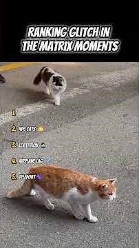Ranking Glitch In The Matrix Moments #shorts #shortvideo