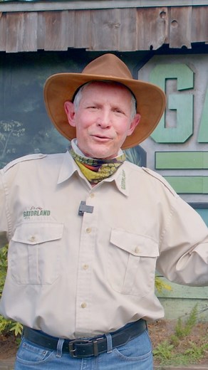 125K views · 738 reactions | Please help keep our communities & our wildlife safe! Share these alligator safety tips with your friends and families‼️. Especially those folks from out of state❤️ #gatorland #alligator #safety | Gatorland Orlando | Facebook