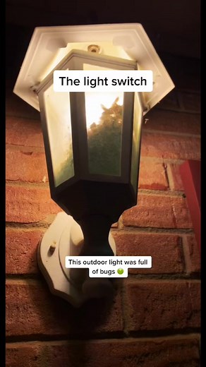 #bugs #light #lightswitch #outdoors #diy #fyp #help #thestruggle #homeowner #lightpost #homeproject #homeprojects #lightfixture #remodel #reno #smelly