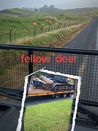 roota (@roota24)’s videos with original sound - 𝗛𝗮𝗶𝗹 𝗔𝗖/𝗗𝗖