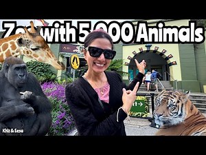 Inside Australia’s MOST FAMOUS Zoo - Ultimate Taronga Zoo Sydney Tour with 5,000 Animals