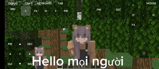 Mod Fix Lag 1.21 para MoonDiepMC