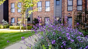 Care Home Investment | Octopus Capital