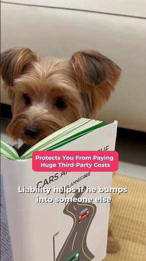 Car insurance guide for first-time car owners