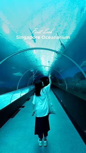 VisitSingapore on Instagram: "Big splash incoming! 🌊🐠 The all-new Singapore Oceanarium is opening its doors — with coral reefs, deep-sea giants, and immersive zones that’ll blow your fins off. 👀✨ Dive in for close encounters and ocean wonders like you’ve never seen before. 🗓️ Opens 24 July 2025 📍Resorts World Sentosa @singaporeoceanarium @rwsentosa #VisitSingapore #Singapore #SingaporeOceanarium #RWS #ThingsToDoinSG"