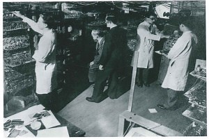 University celebrates Baby’s 65th birthday