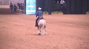 2.3K views · 31 reactions | Until September 3, Expo Square is the venue for the 100X Reining Classic, which will also have entertainment by Larry the Cable Guy and Dylan Scott. https://bit.ly/3sB67Sf | FOX23 News | Facebook