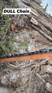 1.5K views | Logging  | Logger Mack | Facebook