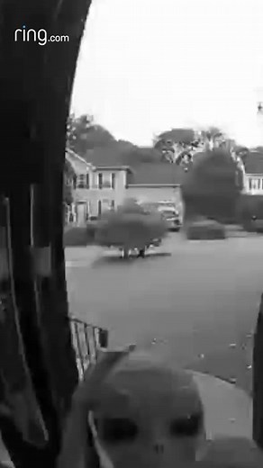 RingDoorBellVideos on TikTok