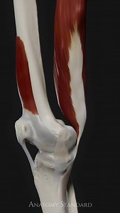 6K views · 10K reactions | We have been working on an animation of...