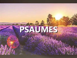 Psaumes (Psalms) French | Good News | Audio Bible