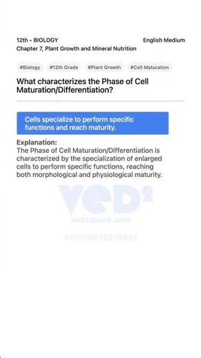 12th Biology Plant Growth Cell Maturation Explained