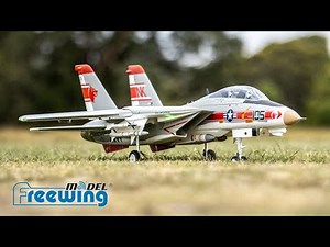 Maiden Flights & Crash: Freewing F-14 Tomcat Twin 64mm V2 6S PnP