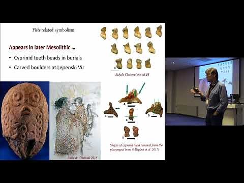 The Iron Gates Mesolithic – a case of hunter-gatherer complexity?