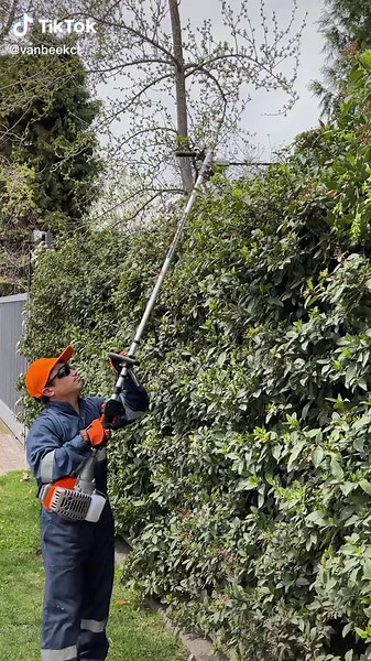 Convierte tu desbrozadora en cortasetos: Tips útiles