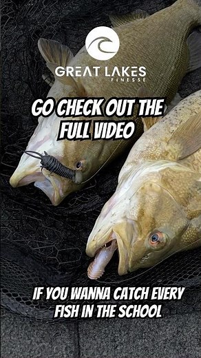 Check Out This Hot Tip On How To Catch Every Smallmouth In The School When Fishing Up North
